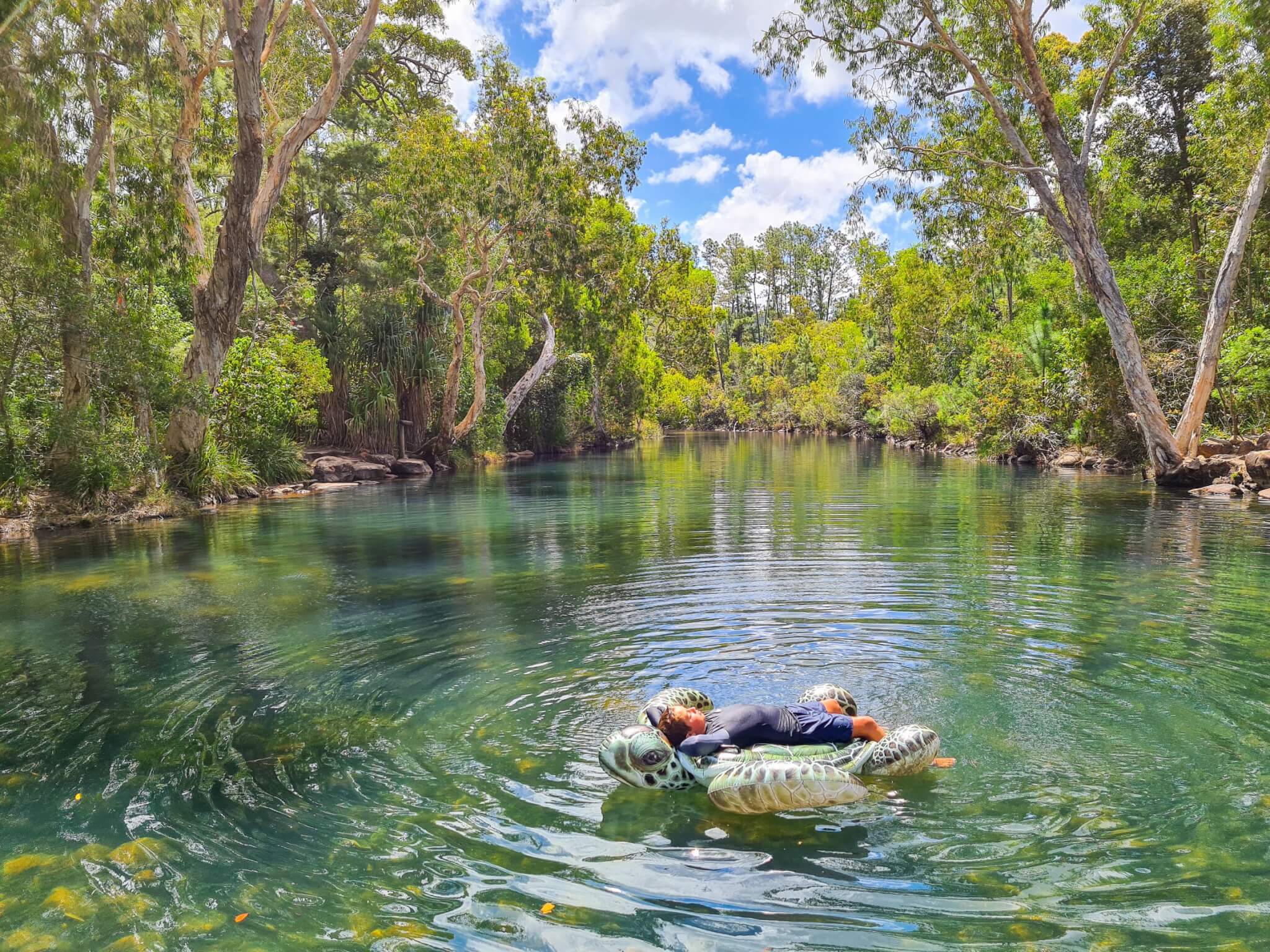 Top 5 National Parks experiences on the Capricorn Coast Visit Capricorn