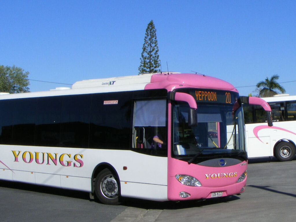 youngs bus service web