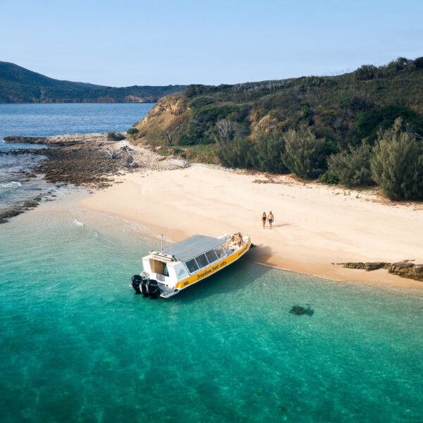 THE BEST CRUISES FROM YEPPOON
